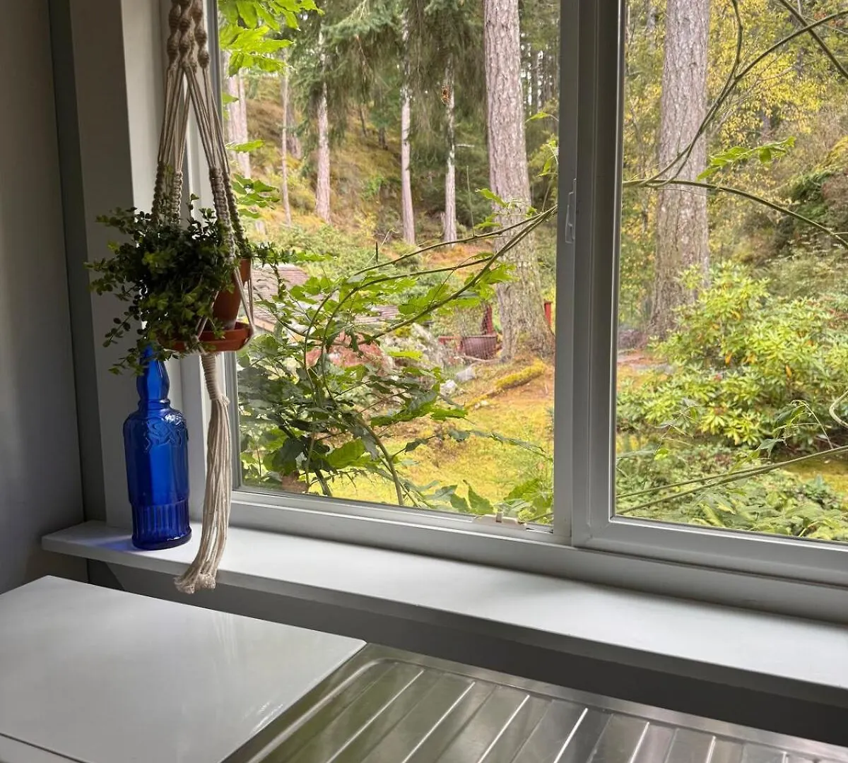 Vakantiehuis Wedgewood House Cottage In Metchosin Victoria